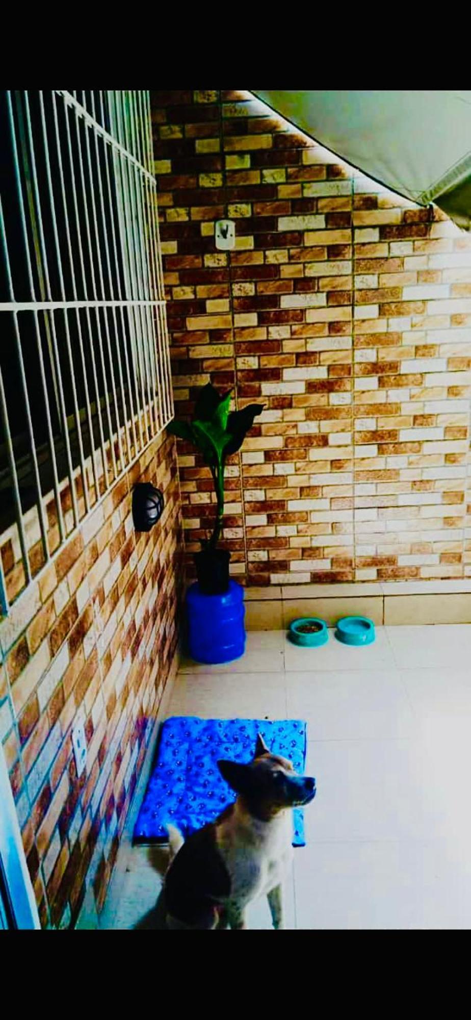Quartos Privativos Proximo A Orla De Camburi Homestay *